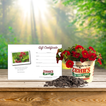 picture of garden center gift certificate