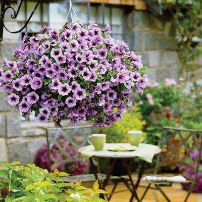 picture of a hanging basket